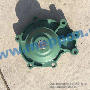 VG1246060042 sinotruck water pump