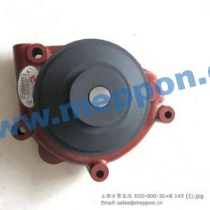 D20-000-32+B sdec water pump